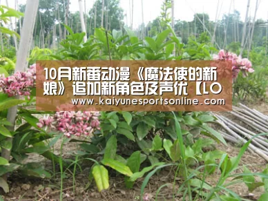 10月新番动漫《魔法使的新娘》追加新角色及声优【LOL直播】(图1) 开云电竞