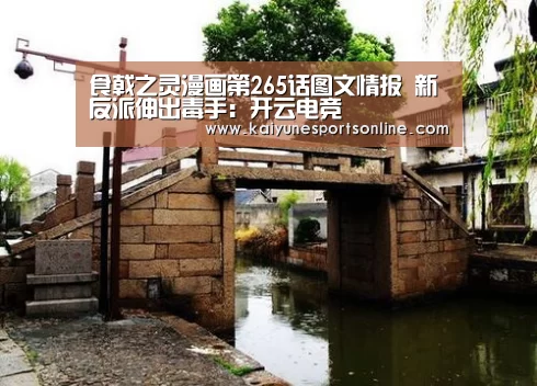 开云电竞官网