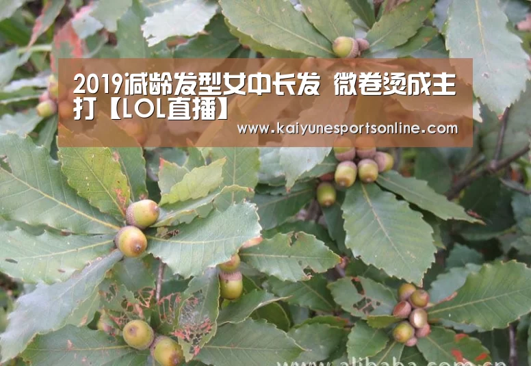 开云电竞官网