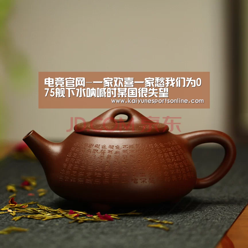 开云电竞官网