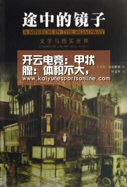 开云电竞:甲状腺:体积不大,本事高强(图3) LOL直播