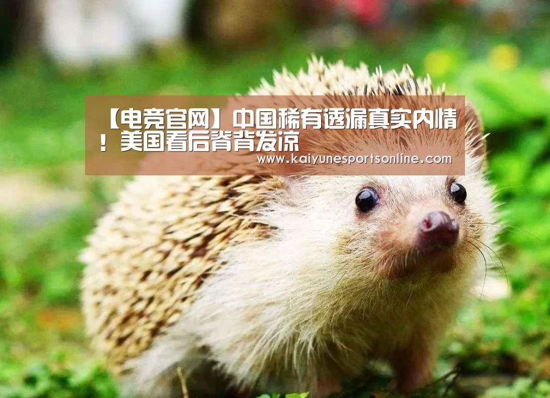 开云电竞