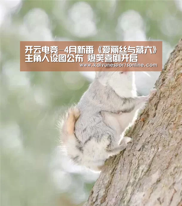 开云电竞-4月新番《爱丽丝与藏六》主角人设图公布 爆笑喜剧开启(图3) 开云电竞