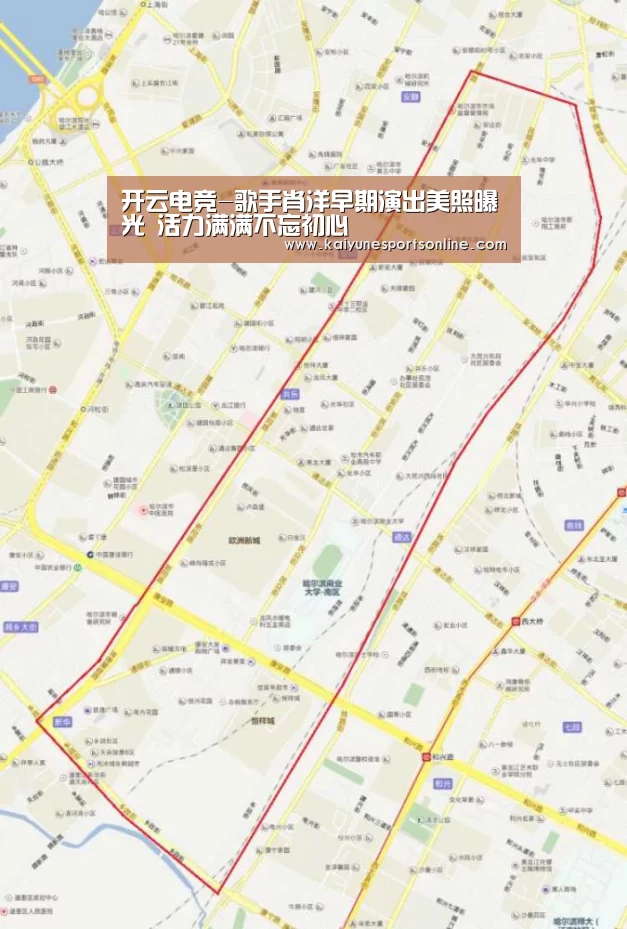 开云电竞-歌手肖洋早期演出美照曝光 活力满满不忘初心(图3) 开云电竞官网