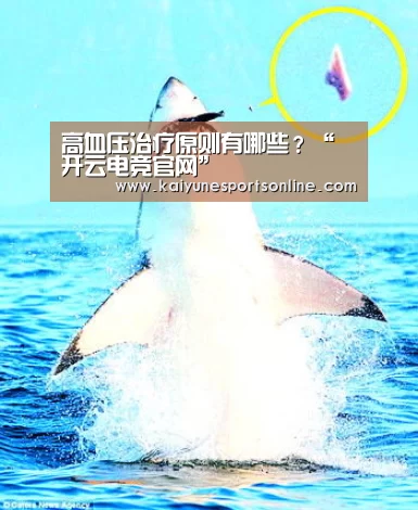 高血压治疗原则有哪些?“开云电竞官网”(图2) 开云电竞